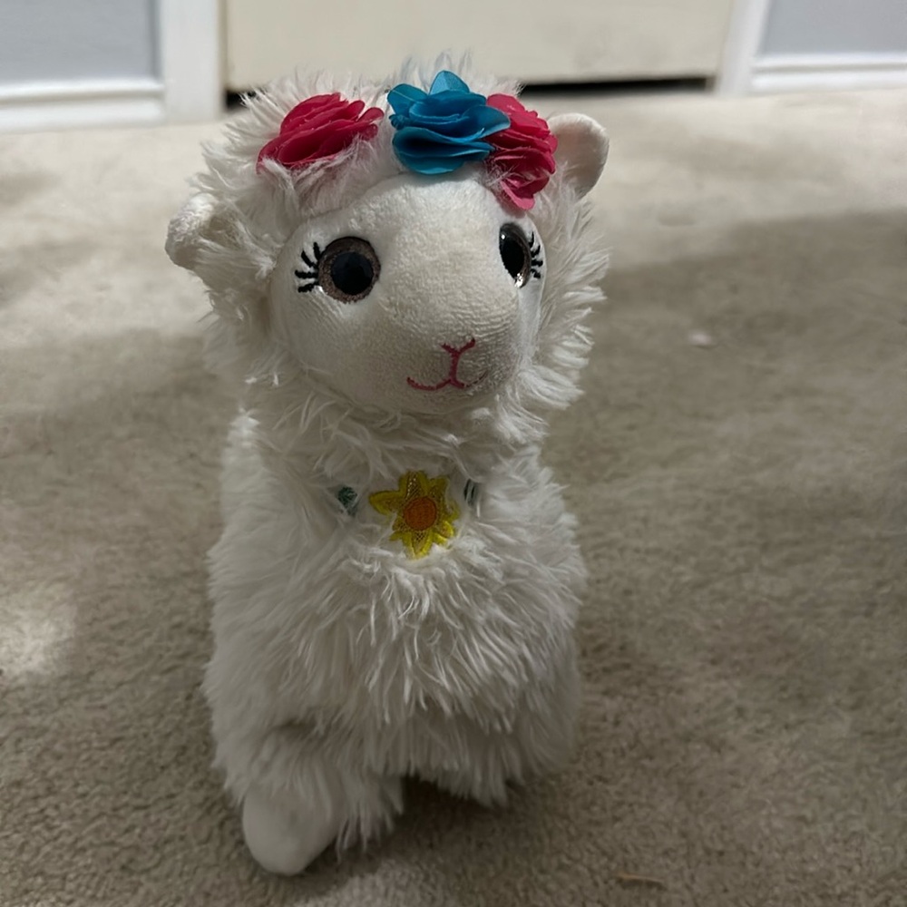 Llama